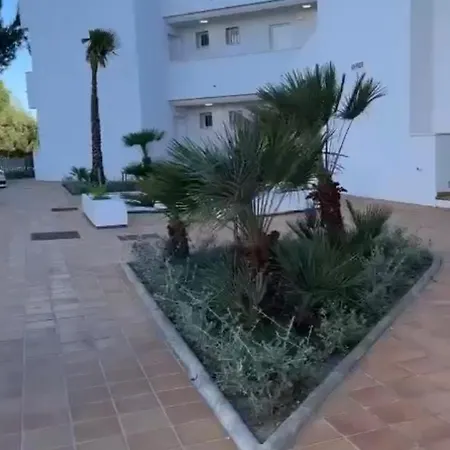 Casa Kroon Small Oasis *